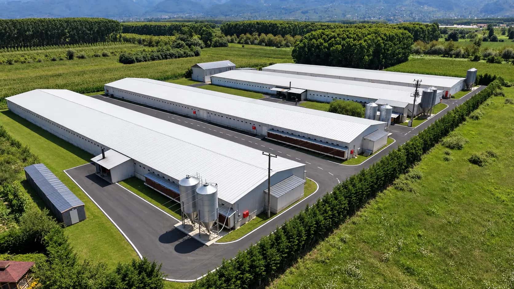 Ersa Çiftlik Ballıca Kümesi'nde paralel broiler kümes binaları ve yem siloları — Düzce, havadan görünüm
