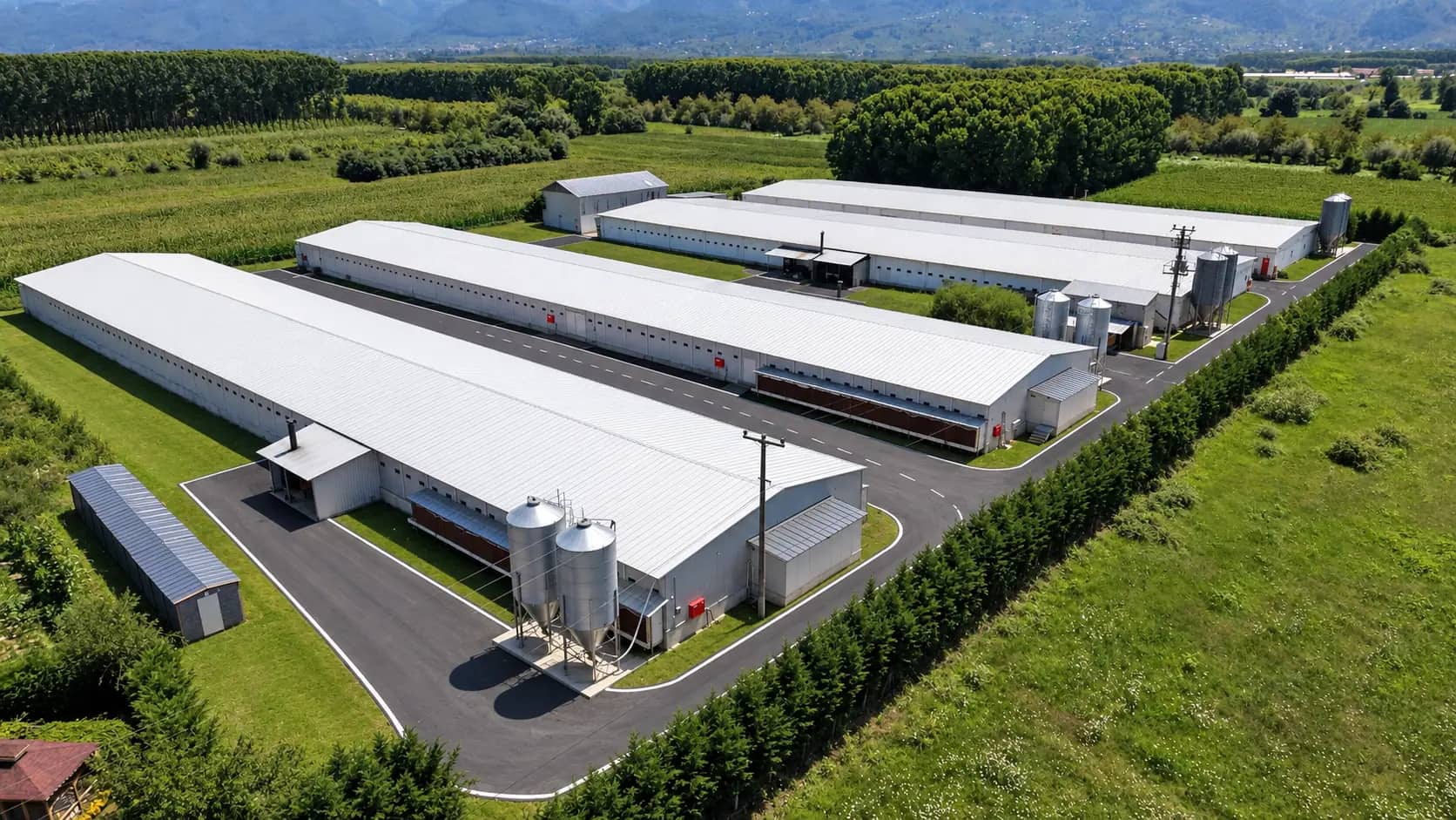 Ersa Çiftlik Ballıca Kümesi'nde paralel broiler kümes binaları ve yem siloları — Düzce, havadan görünüm