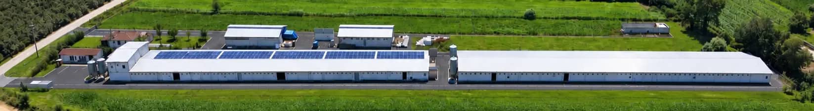 Ersa Çiftlik Kadıoğlu Kümesi'nin panoramik havadan görünümü: çatısında güneş panelleri bulunan broiler kümesleri, yem siloları ve çevresindeki yeşil tarım arazileri
